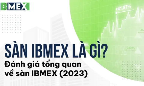 Sàn IBMEX là gì ? Đánh giá tổng quan về sàn IBMEX (2023)