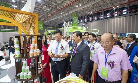 Hơn 700 doanh nghiệp tham gia Triển lãm VINAMAC EXPO 2024