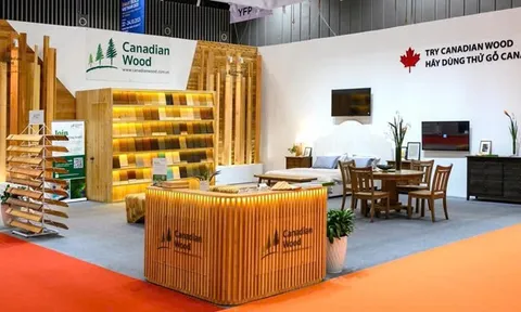 Canadian Wood Việt Nam tăng cường kết nối với ngành gỗ và nội thất Việt Nam