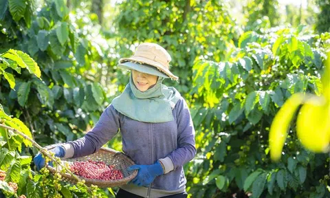 Nestlé tiên phong lan tỏa thói quen tiêu dùng xanh, hướng tới tương lai phát triển bền vững
