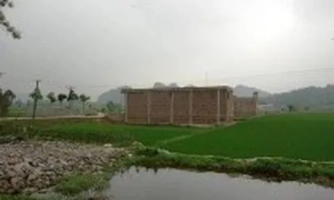 Hà Nội sắp đấu giá hàng loạt lô đất vùng ven, có lô giá khởi điểm gần 5 tỉ đồng