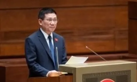 Hàng trăm nghìn m2 đất lãng phí bị thu hồi