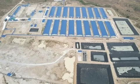 Gia Lai: Dân ngao ngán vì trại chăn nuôi “bủa vây” khu dân cư