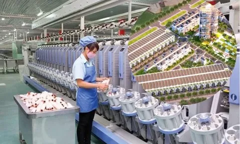 Một công ty sợi "lấn sân" làm bất động sản: Tham vọng đứng số 1 Thái Bình, nhập cuộc làm NOXH và gom 200ha đất công nghiệp