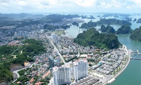 Điểm danh 19 dự án 'ngâm đất' ở Quảng Ninh