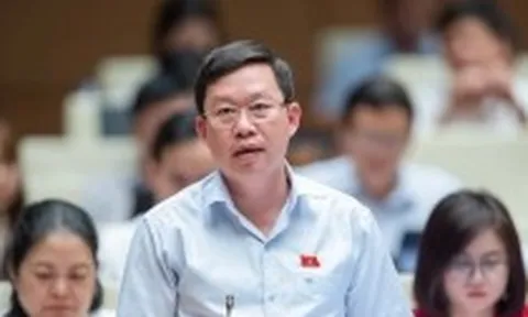 Đại biểu Quốc hội đề nghị không bỏ giá điện khỏi diện bình ổn