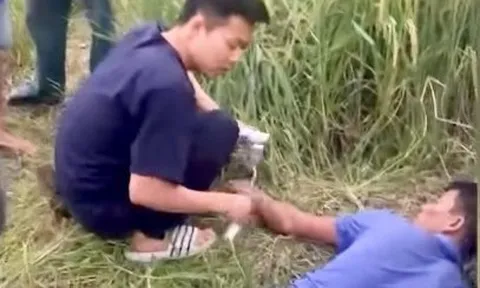 Gặt lúa giữa trời nóng trên 40 độ C, người đàn ông đột ngột ngất xỉu, co giật