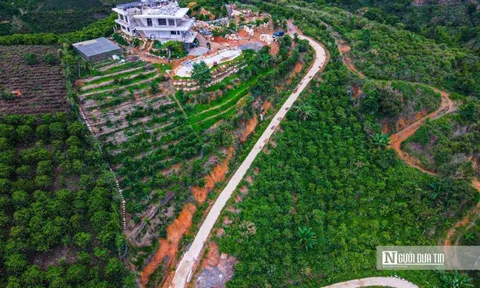 Lâm Đồng: Chỉ đạo mới về việc tách thửa, hợp thửa đất