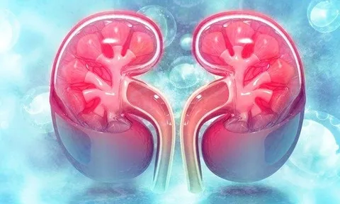 2 loại nước nếu uống quá nhiều khi trời nắng nóng sẽ khiến thận bị tổn thương nhanh chóng