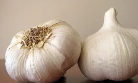 Loại gia vị được ví là thuốc trị 'bách bệnh' của người nghèo