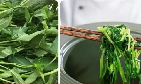 Dấu hiệu nhận biết rau muống nhiễm chì đơn giản nhất