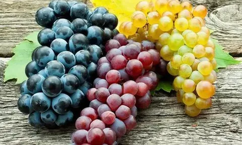 Sau 2 tuần ăn nho mỗi ngày, “điều kỳ lạ” này đã xảy ra