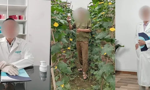 Sự thật bất ngờ về 'bác sĩ' ở những phòng khám quảng cáo 'một tấc tới trời' (Bài 2)