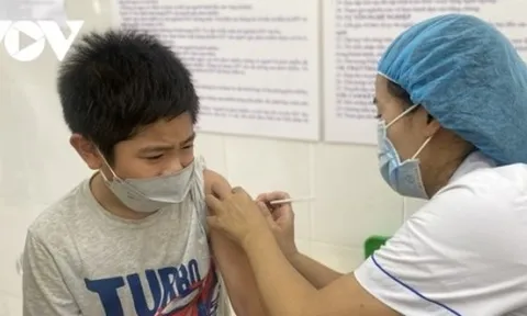 Thiếu vaccine: Bệnh truyền nhiễm mùa hè có thể gây quá tải y tế