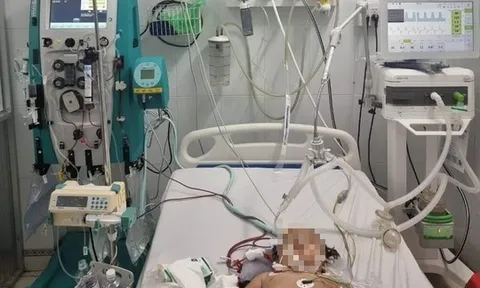 Hội chẩn từ xa cứu bệnh nhi mắc bệnh tay chân miệng nguy kịch