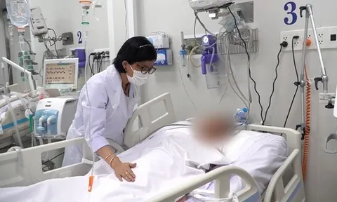 Ăn nấm xào mướp, chồng chết, vợ nguy kịch