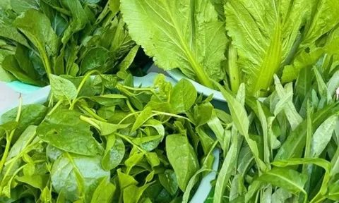 Đặc điểm nhận biết rau có thuốc trừ sâu