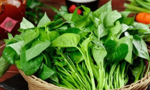'Rau trường thọ' người Nhật ăn hàng ngày, ở Việt Nam rất nhiều