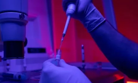 Tạo ra "cấu trúc giống phôi người" mà không cần trứng hay tinh trùng