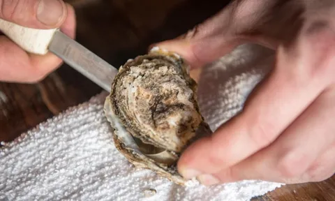 Mỹ: Người đàn ông 55 tuổi tử vong sau khi ăn 1 loại hải sản nhiều người thích ăn vào mùa hè