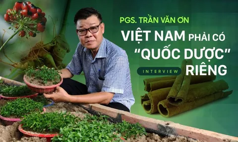 PGS. Trần Văn Ơn: Nhập 80% dược liệu thì cũng không cần hoảng hốt, nếu phát triển đúng, riêng cây quế có thể mang về cho Việt Nam cả tỷ đô la mỗi năm