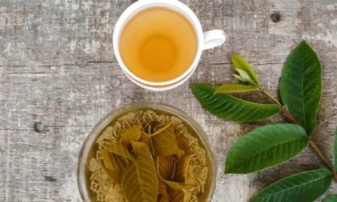 Loại lá tưởng bỏ đi nhưng làm theo cách này lại vô cùng lợi sức khỏe