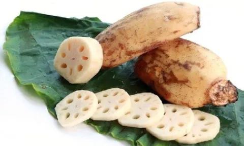 Hé lộ bí mật về loại cây sống trong bùn lầy, tất cả các bộ phận đều là “thần dược”