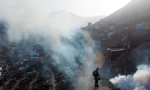 WHO: Bệnh từ muỗi sẽ tăng mạnh vì El Nino