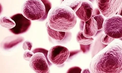 Máu có 3 chỉ số bất thường này, cần đi khám càng sớm càng tốt