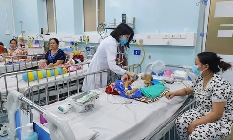 Bệnh viện Nhi đồng 2 đã ghép gan trở lại sau thời gian gián đoạn