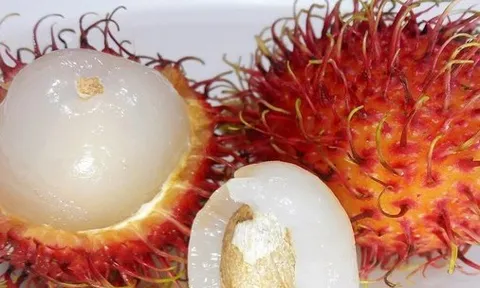 Bé gái 9 tháng tuổi tử vong do hóc hạt chôm chôm