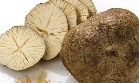 Loại củ mọc dại nhiều ở Việt Nam tốt cho nữ giới tuổi trung niên