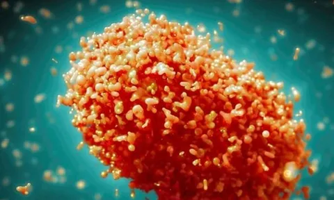 Thái Lan ghi nhận số ca mắc đậu mùa khỉ tăng vọt trong tháng 6