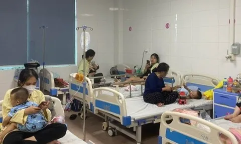 Sốt xuất huyết phá vỡ quy luật 4-5 năm mới có một “đỉnh dịch”