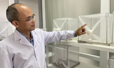 Cảnh báo 'kỷ nguyên muỗi': Sinh sôi nhanh hơn, sống lâu hơn và lây bệnh nhiều hơn