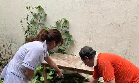 Sau TPHCM, Hà Nội là điểm nóng sốt xuất huyết