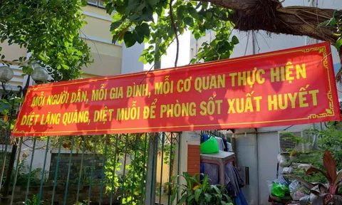 TP HCM: Hàng trăm ổ dịch tay chân miệng, lăng quăng ở khắp nơi