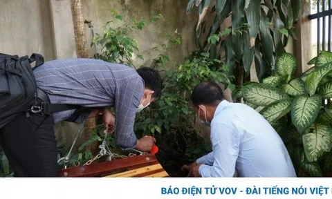 Một bệnh nhi ở Đắk Lắk tử vong do sốt xuất huyết Dengue