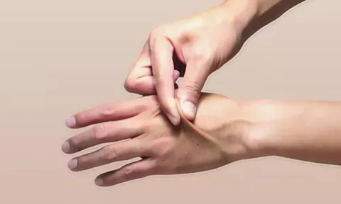 Cơ quan nào nặng nhất trong cơ thể người?