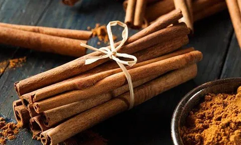 Loại cây cực quý được xếp vào 'tứ đại danh dược', Việt Nam có nhiều