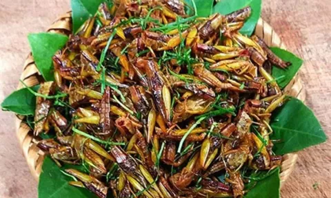 Người đàn ông nhập viện cấp cứu chỉ sau 30 phút ăn đặc sản này