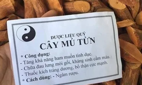 Uống nước nấu cây Mú từn, người đàn ông xuất hiện tình trạng loạn thần