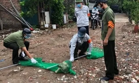 Cảnh báo bệnh dại gia tăng: Đừng để chết vì chủ quan