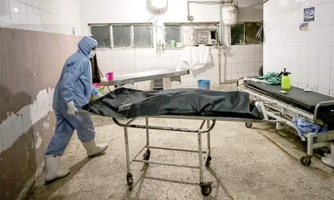 Triệu chứng của căn bệnh lạ tấn công khoảng 1.000 người Ai Cập