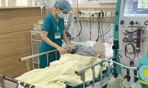 Cả gia đình ngộ độc nấm rừng, 3 người tử vong