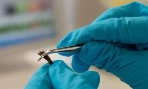 Người đàn ông quyết không nhận con, kết quả xét nghiệm ADN khiến bạn bè 'xấu hổ'