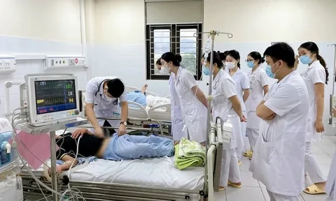 Suy đa tạng do bị mò đốt