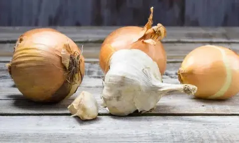 Nghiên cứu chỉ ra 5 thực phẩm bảo vệ sức khỏe đường ruột, chuyên gia lưu ý hữu ích, nhưng đừng lạm dụng!