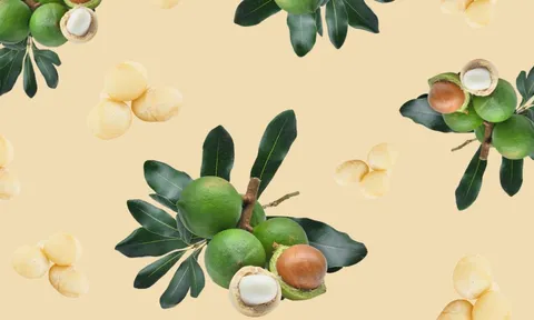 Loại hạt được giáo sư đại học Mỹ ngợi khen vì tác dụng giảm mỡ máu tuyệt vời: Có rất nhiều ở Việt Nam