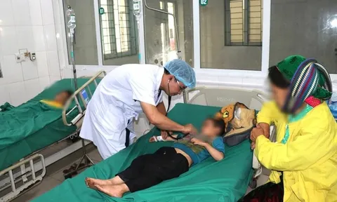 Vụ ngộ độc quả hồng châu: Một trẻ tử vong, chuyển 3 trẻ về Bệnh viện Nhi Trung ương